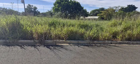 Alugar Terreno / Padr&atilde;o em S&atilde;o Jos&eacute; do Rio Preto. apenas R$ 465.000,00