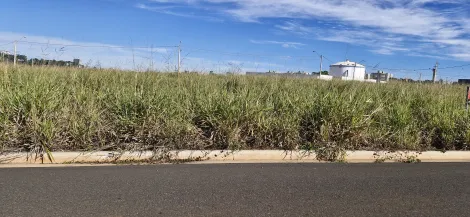 Alugar Terreno / Padr&atilde;o em S&atilde;o Jos&eacute; do Rio Preto. apenas R$ 785.000,00