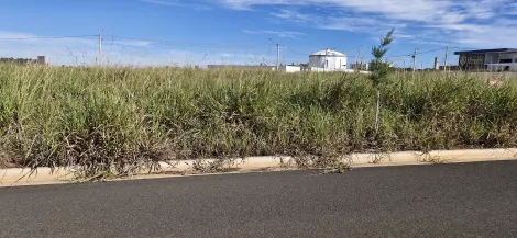Alugar Terreno / Padr&atilde;o em S&atilde;o Jos&eacute; do Rio Preto. apenas R$ 420.000,00
