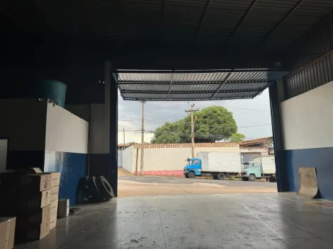Sao Jose do Rio Preto Vila Toninho Salao Locacao R$ 14.000,00 3 Dormitorios  Area do terreno 800.00m2 Area construida 570.00m2
