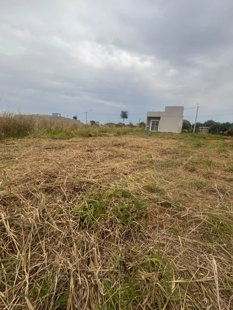 Comprar Terreno / Padr&atilde;o em S&atilde;o Jos&eacute; do Rio Preto R$ 110.000,00 - Foto 3