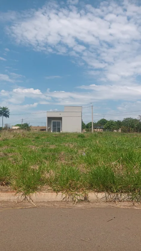 Comprar Terreno / Padr&atilde;o em S&atilde;o Jos&eacute; do Rio Preto R$ 110.000,00 - Foto 4