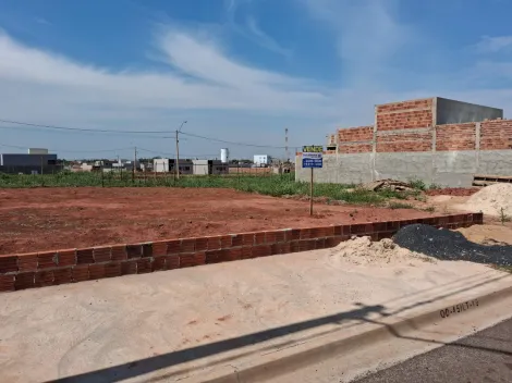Alugar Terreno / Padr&atilde;o em S&atilde;o Jos&eacute; do Rio Preto. apenas R$ 125.000,00