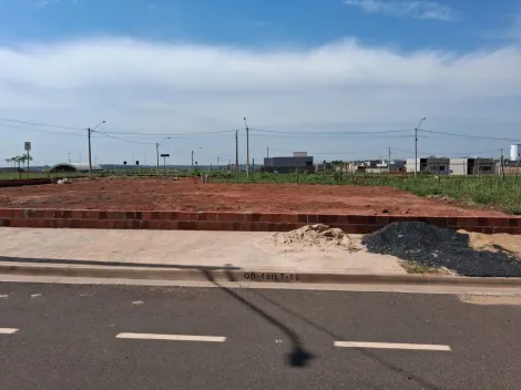 Comprar Terreno / Padr&atilde;o em S&atilde;o Jos&eacute; do Rio Preto R$ 125.000,00 - Foto 8