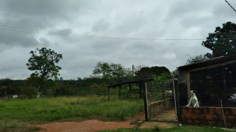 Comprar Rural / S&iacute;tio em S&atilde;o Jos&eacute; do Rio Preto R$ 2.500.000,00 - Foto 5