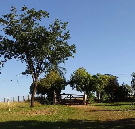 Comprar Rural / S&iacute;tio em S&atilde;o Jos&eacute; do Rio Preto R$ 2.500.000,00 - Foto 9
