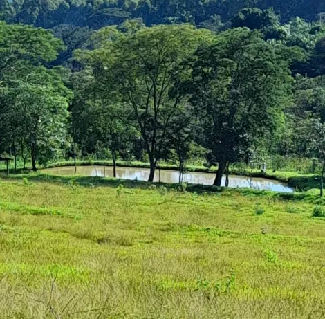 Comprar Rural / S&iacute;tio em S&atilde;o Jos&eacute; do Rio Preto R$ 2.500.000,00 - Foto 15