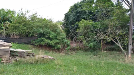 Comprar Rural / S&iacute;tio em S&atilde;o Jos&eacute; do Rio Preto R$ 2.500.000,00 - Foto 26