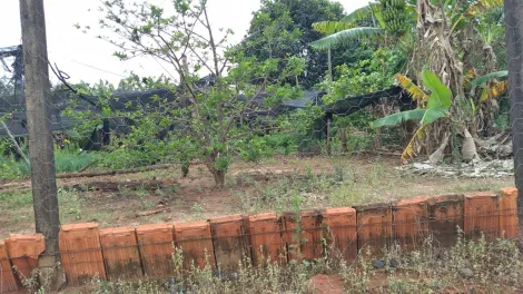 Comprar Rural / S&iacute;tio em S&atilde;o Jos&eacute; do Rio Preto R$ 2.500.000,00 - Foto 28