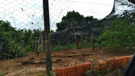 Comprar Rural / S&iacute;tio em S&atilde;o Jos&eacute; do Rio Preto R$ 2.500.000,00 - Foto 29