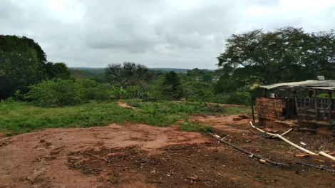 Comprar Rural / S&iacute;tio em S&atilde;o Jos&eacute; do Rio Preto R$ 2.500.000,00 - Foto 30