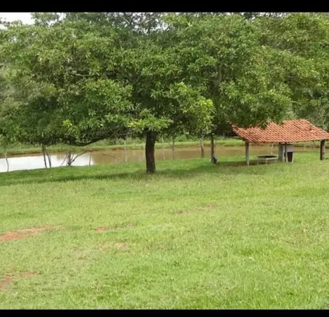 Comprar Rural / S&iacute;tio em S&atilde;o Jos&eacute; do Rio Preto R$ 2.500.000,00 - Foto 33