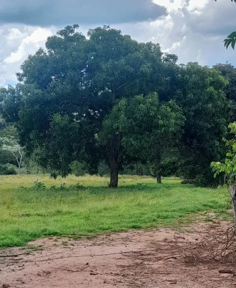 Comprar Rural / S&iacute;tio em S&atilde;o Jos&eacute; do Rio Preto R$ 2.500.000,00 - Foto 36