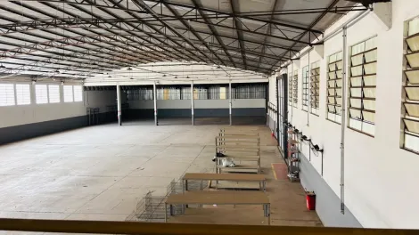 Alugar Comercial / Sal&atilde;o em S&atilde;o Jos&eacute; do Rio Preto R$ 50.000,00 - Foto 5