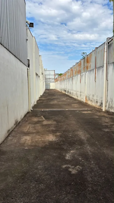 Alugar Comercial / Sal&atilde;o em S&atilde;o Jos&eacute; do Rio Preto R$ 50.000,00 - Foto 12