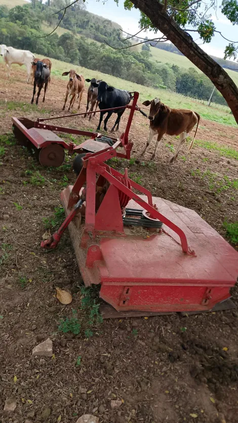Comprar Rural / S&iacute;tio em Monte Apraz&iacute;vel R$ 2.200.000,00 - Foto 11