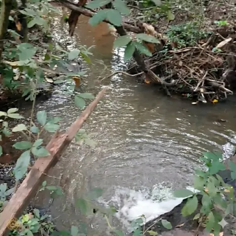 Comprar Rural / S&iacute;tio em Monte Apraz&iacute;vel R$ 2.200.000,00 - Foto 13