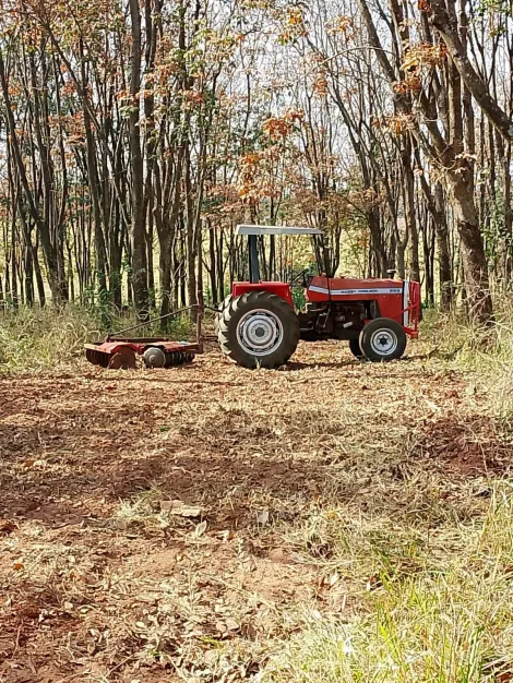 Comprar Rural / S&iacute;tio em Monte Apraz&iacute;vel R$ 2.200.000,00 - Foto 16