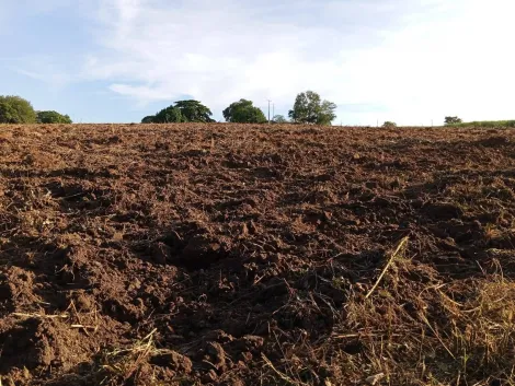 Comprar Rural / S&iacute;tio em Monte Apraz&iacute;vel R$ 2.200.000,00 - Foto 19