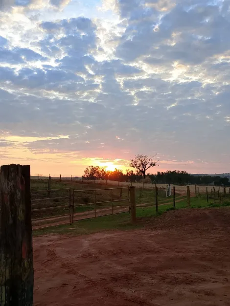 Comprar Rural / S&iacute;tio em Monte Apraz&iacute;vel R$ 2.200.000,00 - Foto 26