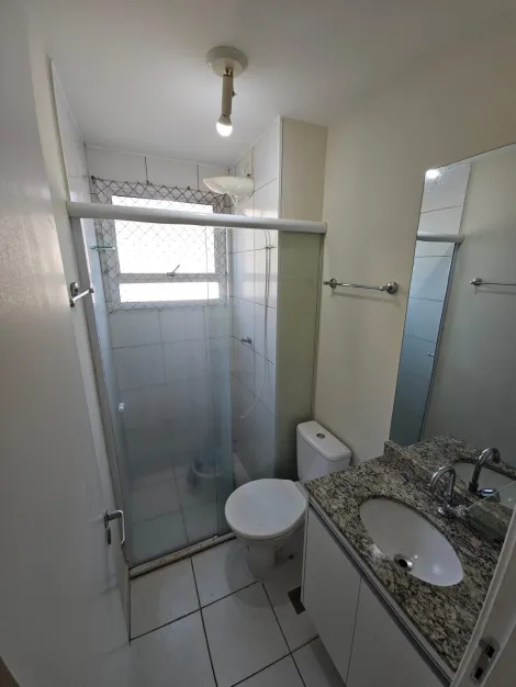 Alugar Apartamento / Padr&atilde;o em S&atilde;o Jos&eacute; do Rio Preto R$ 2.000,00 - Foto 10