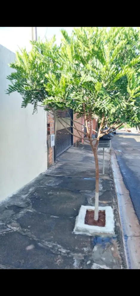 Comprar Casa / Padr&atilde;o em Ol&iacute;mpia R$ 253.000,00 - Foto 21