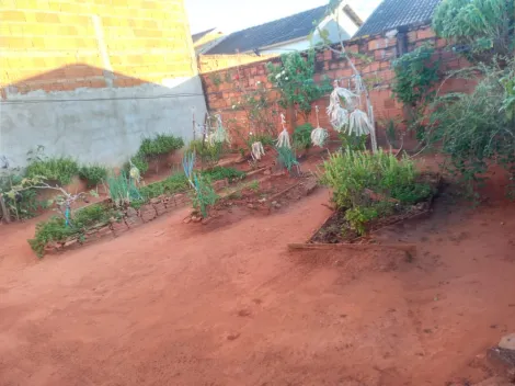 Comprar Casa / Padr&atilde;o em Ol&iacute;mpia R$ 253.000,00 - Foto 8