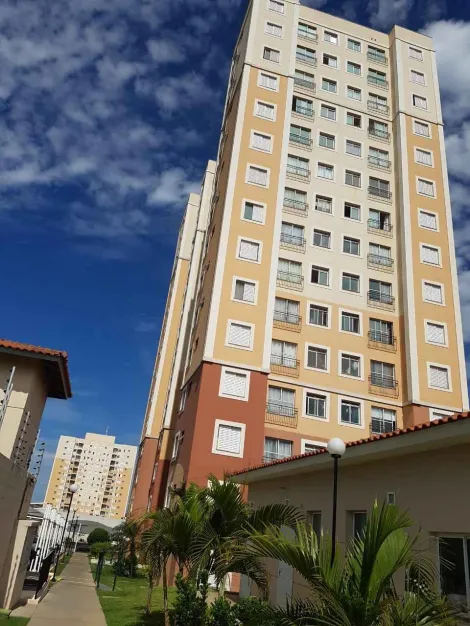 Comprar Apartamento / Padr&atilde;o em S&atilde;o Jos&eacute; do Rio Preto R$ 260.000,00 - Foto 8