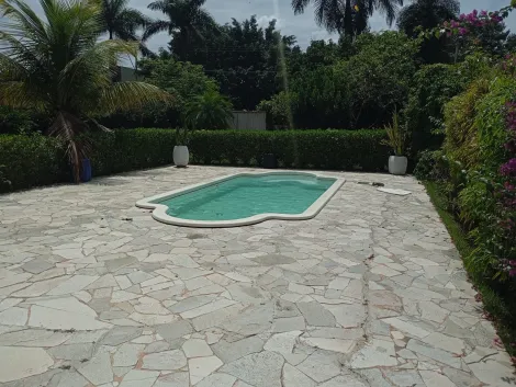 Comprar Rural / Ch&aacute;cara em Bady Bassitt R$ 380.000,00 - Foto 8