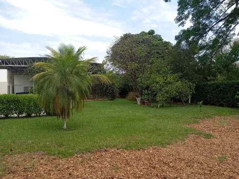 Comprar Rural / Ch&aacute;cara em Bady Bassitt R$ 380.000,00 - Foto 16