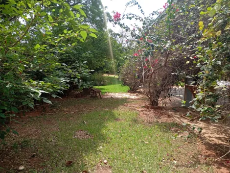 Comprar Rural / Ch&aacute;cara em Bady Bassitt R$ 380.000,00 - Foto 17