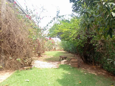 Comprar Rural / Ch&aacute;cara em Bady Bassitt R$ 380.000,00 - Foto 21