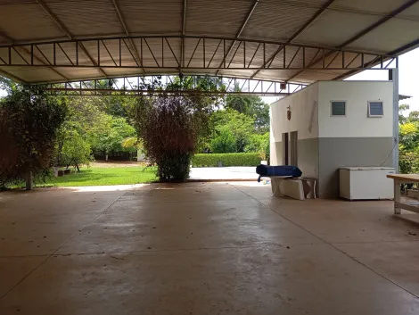 Comprar Rural / Ch&aacute;cara em Bady Bassitt R$ 380.000,00 - Foto 24