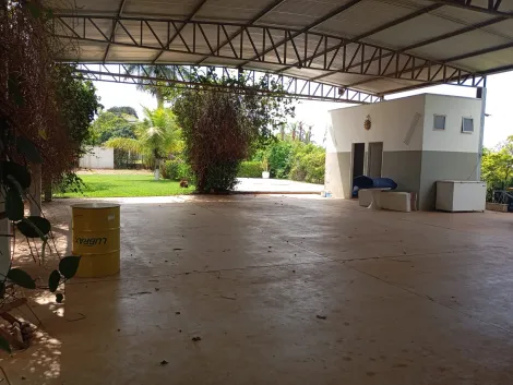 Comprar Rural / Ch&aacute;cara em Bady Bassitt R$ 380.000,00 - Foto 34