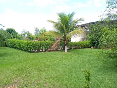Comprar Rural / Ch&aacute;cara em Bady Bassitt R$ 380.000,00 - Foto 37