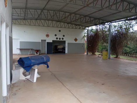 Comprar Rural / Ch&aacute;cara em Bady Bassitt R$ 380.000,00 - Foto 3