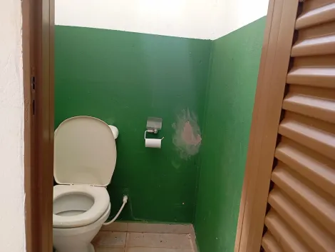 Comprar Rural / Ch&aacute;cara em Bady Bassitt R$ 380.000,00 - Foto 5