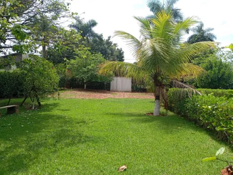 Comprar Rural / Ch&aacute;cara em Bady Bassitt R$ 380.000,00 - Foto 43