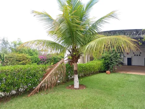 Comprar Rural / Ch&aacute;cara em Bady Bassitt R$ 380.000,00 - Foto 47