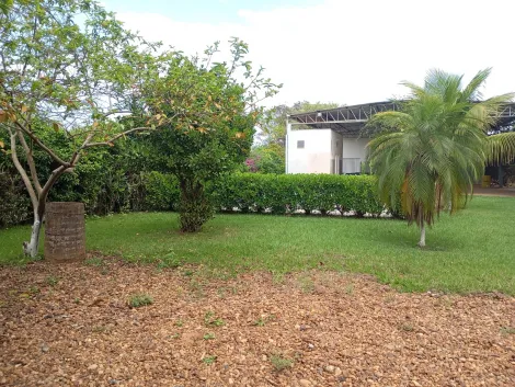 Comprar Rural / Ch&aacute;cara em Bady Bassitt R$ 380.000,00 - Foto 51