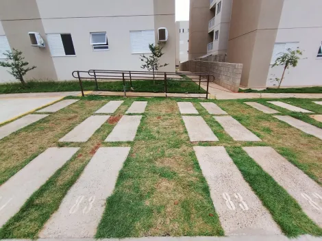 Alugar Apartamento / Padr&atilde;o em S&atilde;o Jos&eacute; do Rio Preto R$ 1.100,00 - Foto 14