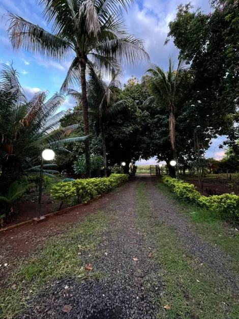 Comprar Rural / Ch&aacute;cara em S&atilde;o Jos&eacute; do Rio Preto R$ 1.200.000,00 - Foto 13