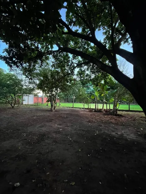 Comprar Rural / Ch&aacute;cara em S&atilde;o Jos&eacute; do Rio Preto R$ 1.200.000,00 - Foto 35