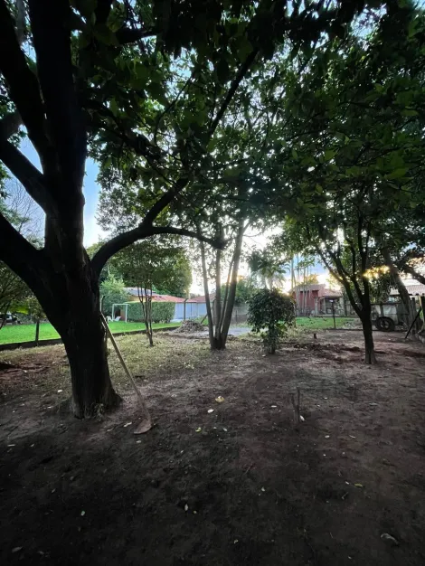 Comprar Rural / Ch&aacute;cara em S&atilde;o Jos&eacute; do Rio Preto R$ 1.200.000,00 - Foto 36