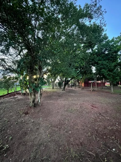 Comprar Rural / Ch&aacute;cara em S&atilde;o Jos&eacute; do Rio Preto R$ 1.200.000,00 - Foto 38
