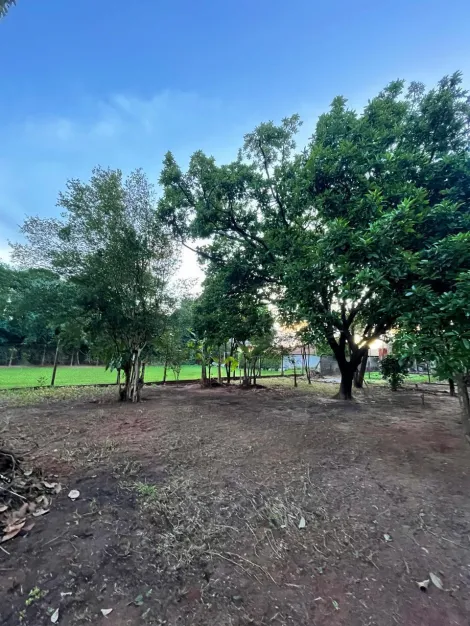 Comprar Rural / Ch&aacute;cara em S&atilde;o Jos&eacute; do Rio Preto R$ 1.200.000,00 - Foto 41