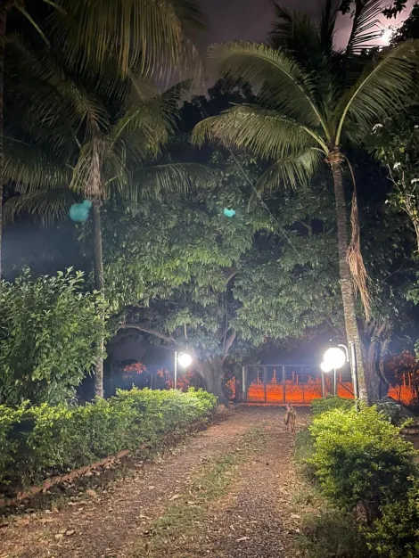 Comprar Rural / Ch&aacute;cara em S&atilde;o Jos&eacute; do Rio Preto R$ 1.200.000,00 - Foto 57