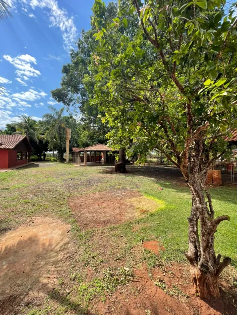 Comprar Rural / Ch&aacute;cara em S&atilde;o Jos&eacute; do Rio Preto R$ 1.200.000,00 - Foto 62