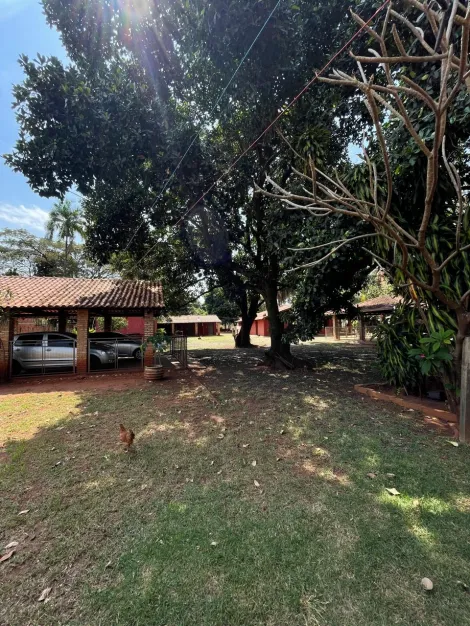 Comprar Rural / Ch&aacute;cara em S&atilde;o Jos&eacute; do Rio Preto R$ 1.200.000,00 - Foto 63