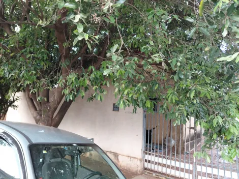 Comprar Casa / Padr&atilde;o em S&atilde;o Jos&eacute; do Rio Preto R$ 265.000,00 - Foto 7